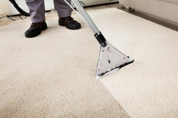 carpet cleaner charlotte